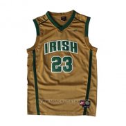 Camiseta St. Vincent-St. Mary LeBron James NO 23 Oro