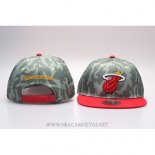 Gorra Miami Heat Snapback Verde