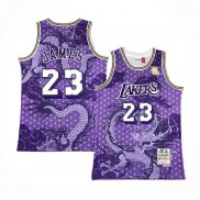 Camiseta Los Angeles Lakers Lebron James NO 23 Asian Heritage Throwback 2018-19 Violeta