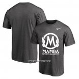 Camiseta Manga Corta Los Angeles Lakers Mamba Sports Academy Gris2