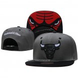 Gorra Chicago Bulls Mitchell & Ness Gris