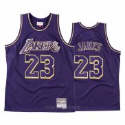 Camiseta Los Angeles Lakers LeBron James NO 23 2020 Chinese New Year Throwback Violeta