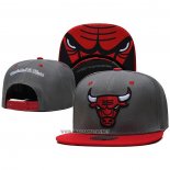 Gorra Chicago Bulls Rojo Gris