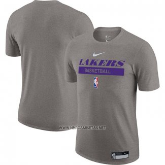 Camiseta Manga Corta Los Angeles Lakers Practice Performance 2022-23 Gris