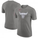 Camiseta Manga Corta Chicago Bulls Ciudad 2023-24 Gris